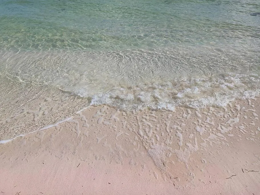 La Amada Residences, Luxury Penthouse. Cancun Apartment
